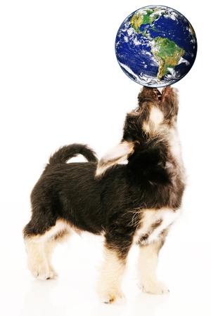 Keep the earth in balanceの写真素材