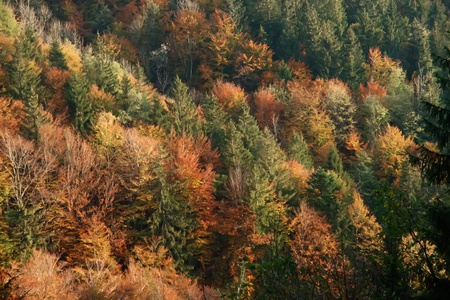 landscape at a autumn mood