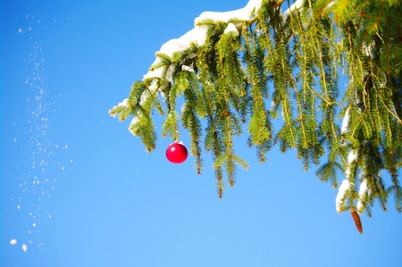 Christmasの写真素材