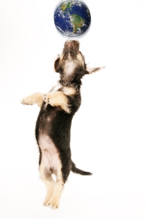 Keep the earth in balance の写真素材