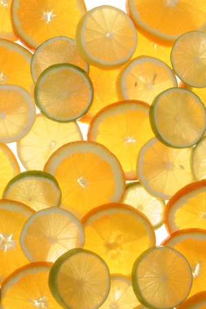 citrus fruits in slices           の写真素材