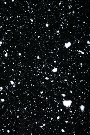 real snowflakes falling at night out doorsの写真素材
