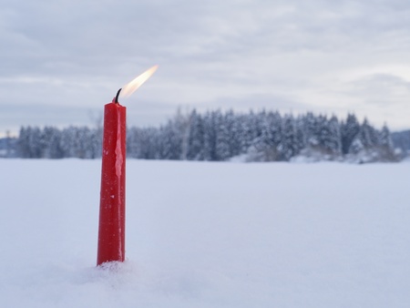 red candles on white snow background outside in winterの写真素材
