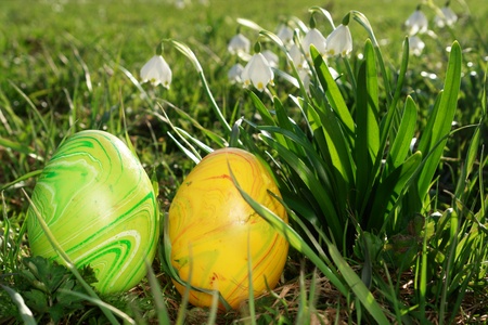 easter flowers and eggs