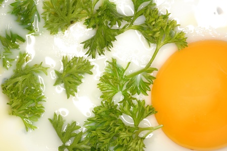 Egg for eating  fresh fried a eggの写真素材