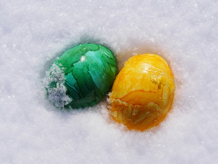 Easter eggs in snowの写真素材