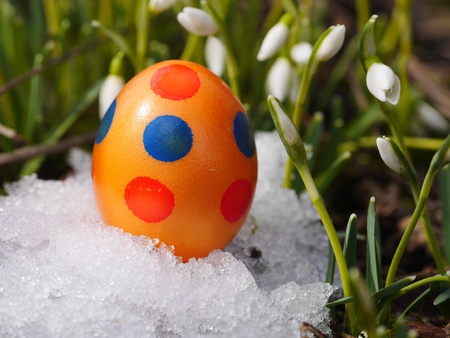 Easter egg meadow snowdrop snowflake outside in the meadow