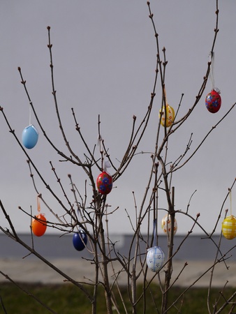 Easter eggs hanging on  branches