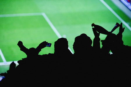Stadium with fans silhouettes soccer fans stadiumの写真素材