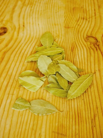 dry leaves of laurel made 