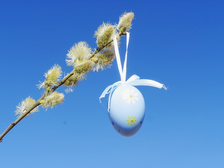 easter eggs on a spring branchの写真素材