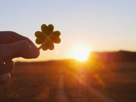 Green clover leaf with green heartsの写真素材