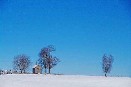 beautiful snowy winter landscape at Christmas time...の写真素材