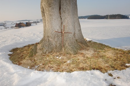 xmas Christmas winterの写真素材