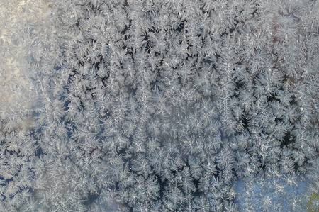 xmas Christmas winter