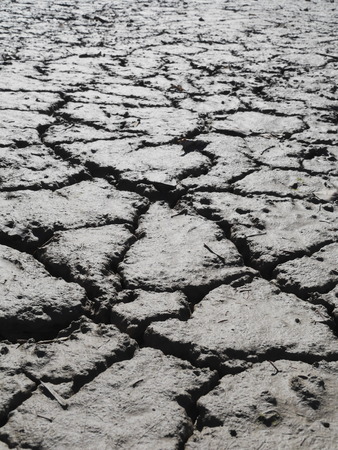 Large cracks in ground at clay water holes dried up during dry season