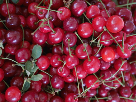 Close-up of fresh cherries at a farmer's market