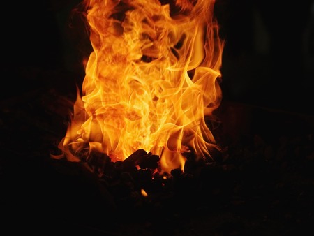 fire burning fire. Fire burning in the night. crest of flame on burning wood.blaze fire flame texture backgroundの写真素材
