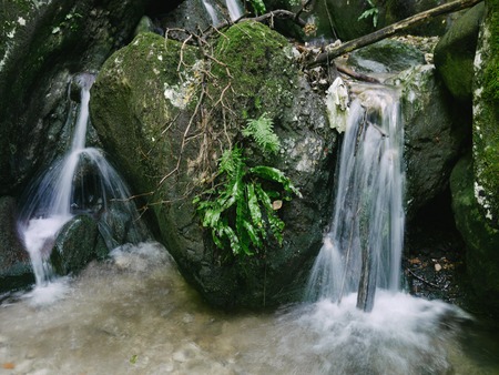 waterfall in the forest in the nightの写真素材