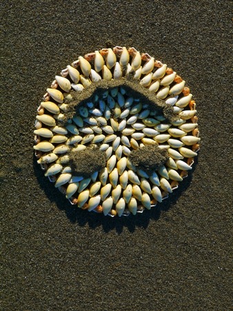 Sea shells on sand. Summer beach . Top view