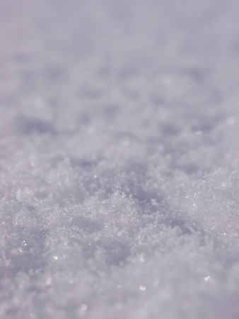Real snow surface cover for background texture usageの写真素材