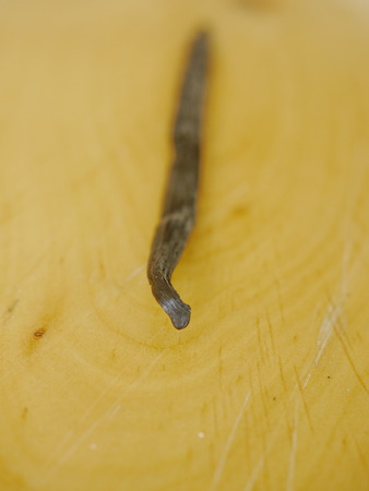 Vanilla beans on neutral colored wooden table