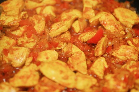 Indian spicy chicken curryの写真素材