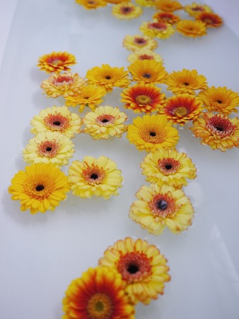 a lot of flowers swimming on water
