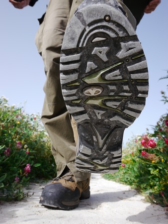 someone walking on a stony path with flowers at the side