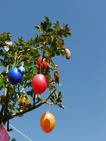 easter eggs hanging on a treeの写真素材