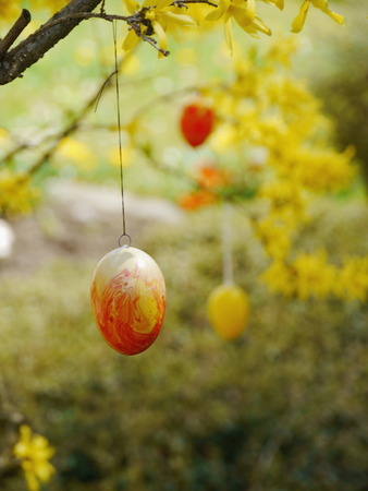easter eggs hanging on a treeの写真素材