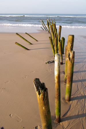 Dune Fence on Beach at Sunsetの写真素材