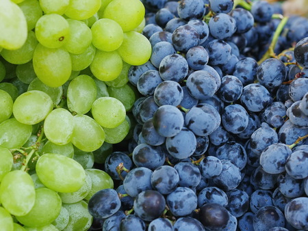 Green and red grapes on a marketの写真素材