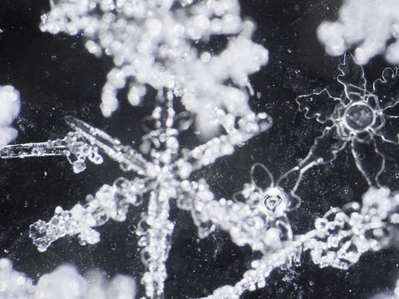 photo real snowflakes during a snowfall, under natural conditions at low temperatureの写真素材