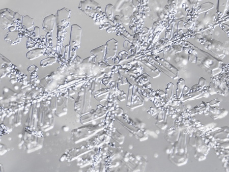 photo real snowflakes during a snowfall, under natural conditions at low temperature