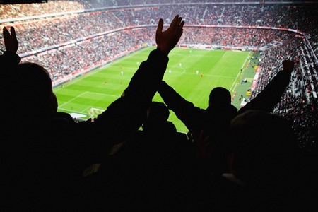 people cheering for a team
