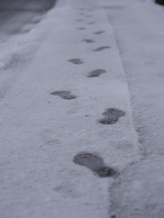 Closeup of footsteps in snow going forwardの写真素材