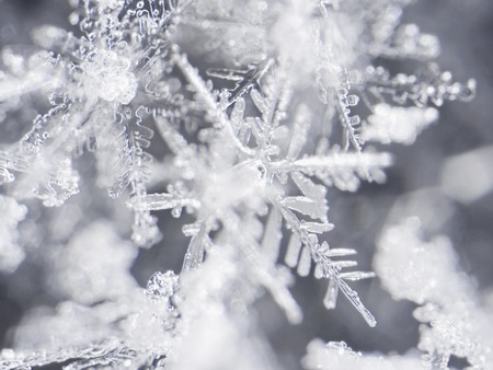 real snowflakeの写真素材