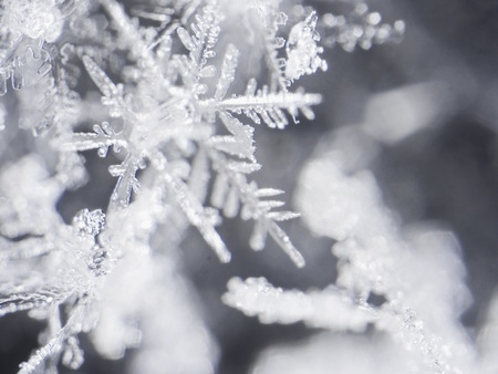 real snowflakeの写真素材
