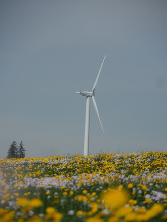 Meadow with wind power plantの写真素材