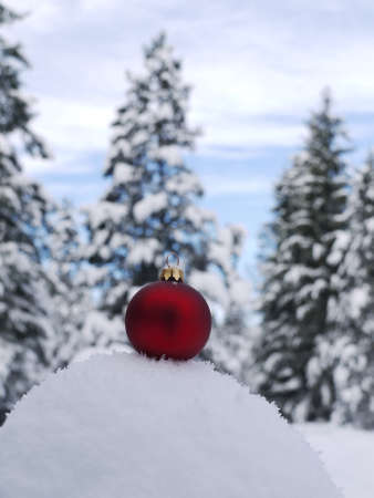 Christmas Ornamentの写真素材