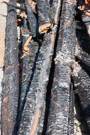A pile of burnt wood with a black and white color schemeの写真素材