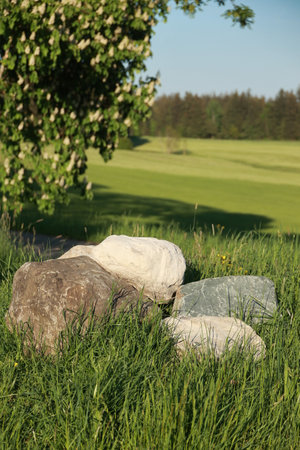 A group of rocks are sitting in a grassy fieldの写真素材