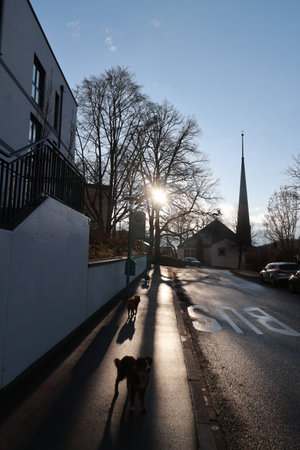 Street with a church in the backgroundの写真素材