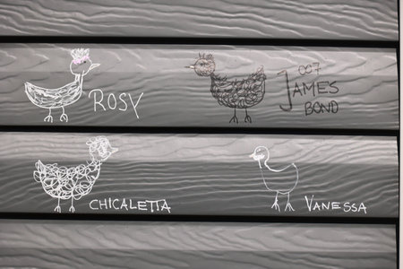 Wall with four drawings of birds and the names Chicaleta, Vanessa