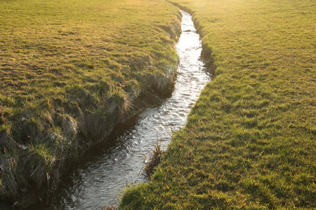 A grassy field with a small stream running through itの写真素材