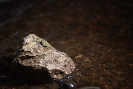 Rock is sitting in a body of waterの写真素材