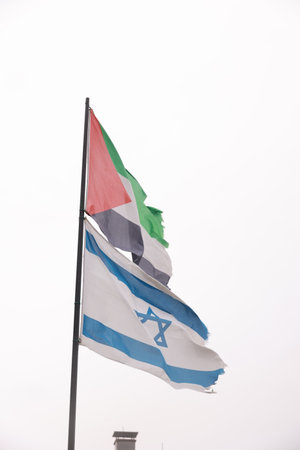 Israel and Palestine flag together in the windの写真素材