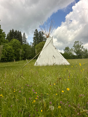 Teepee is in a field of grass and flowers