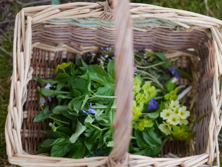 Basket filled with herbs and flowersの写真素材